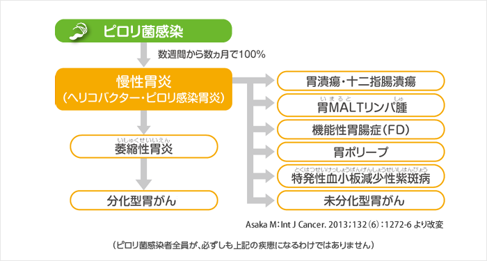 図:ピロリ菌感染の長期経過